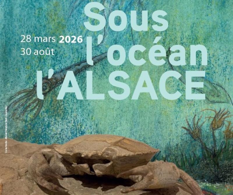 Visite guidée de l'exposition "Sous l'océan, l'Alsace"
