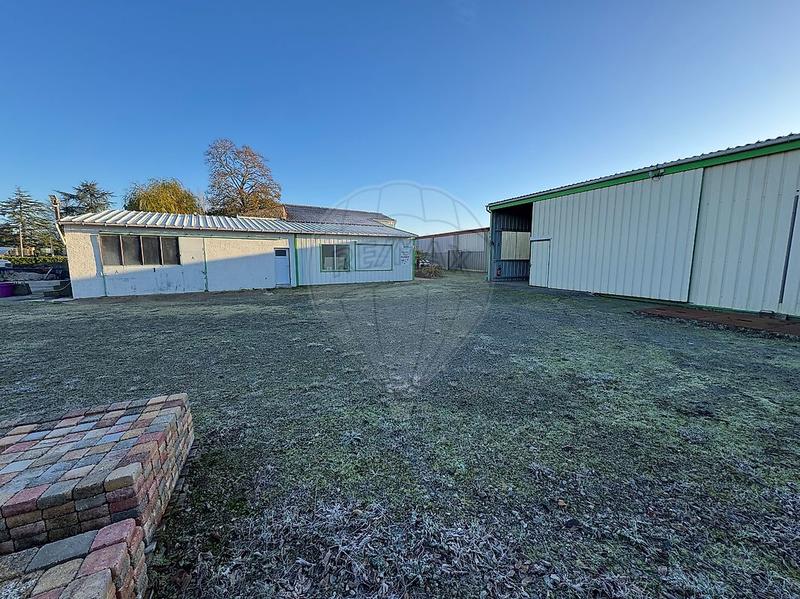 Entrepôt - 600 m² - 10 pièces