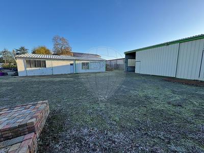 Entrepôt - 600 m² - 10 pièces