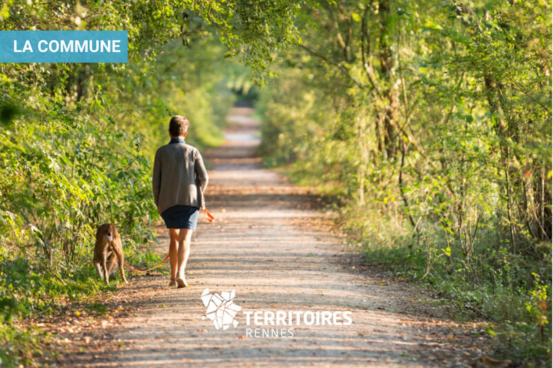 Terrain constructible - 216 m²