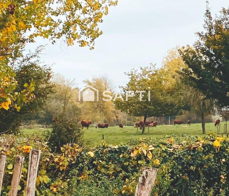 Maison - 116 m² - 5 pièces