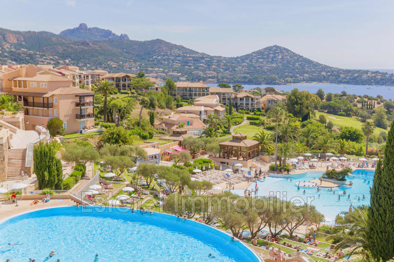 Appartement - 36 m² - 2 pièces