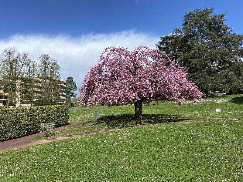 Local commercial - 61 m²