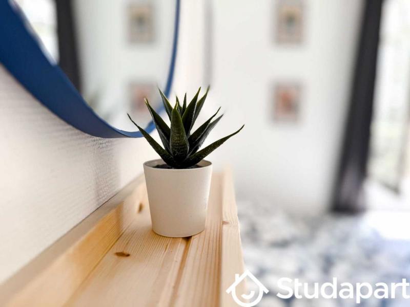 Appartement - 85 m² - 1 pièce