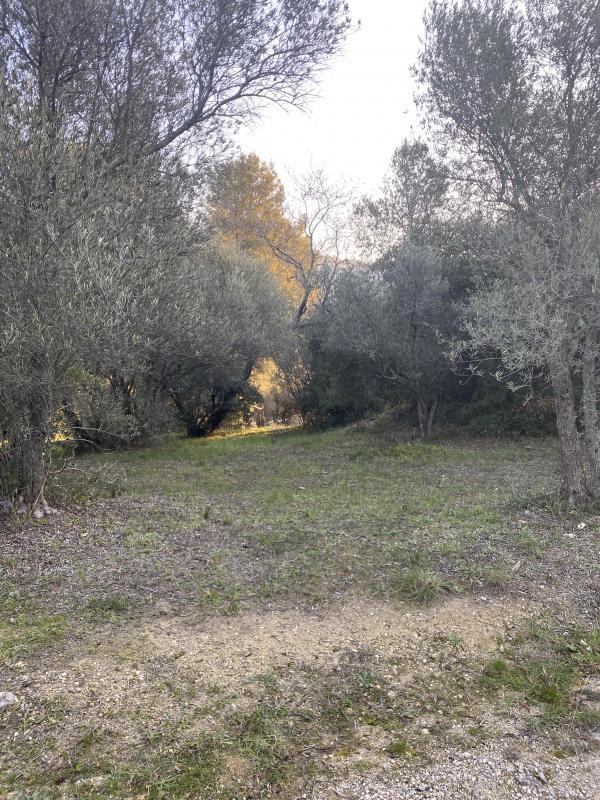 Terrain constructible - 902 m²