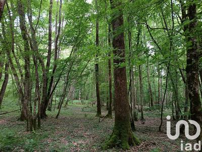 Terrain agricole - 8 960 m²