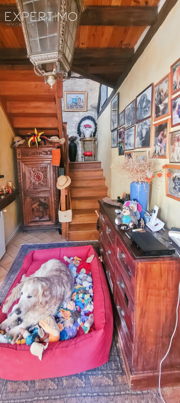 Maison - 250 m² - 7 pièces