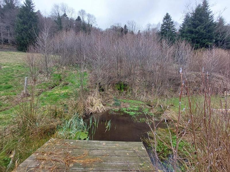 Maison - 165 m² - 5 pièces