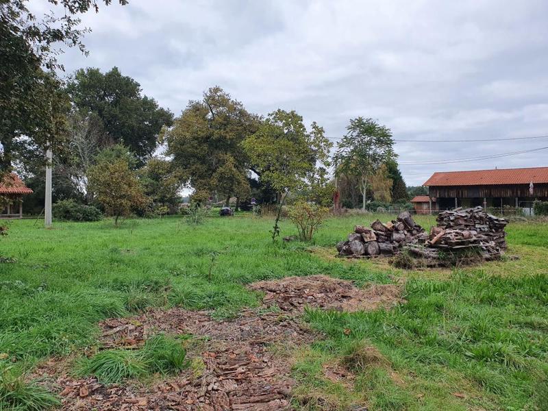 Terrain constructible - 1 358 m²