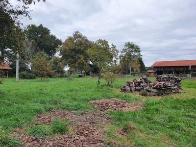 Terrain constructible - 1 358 m²