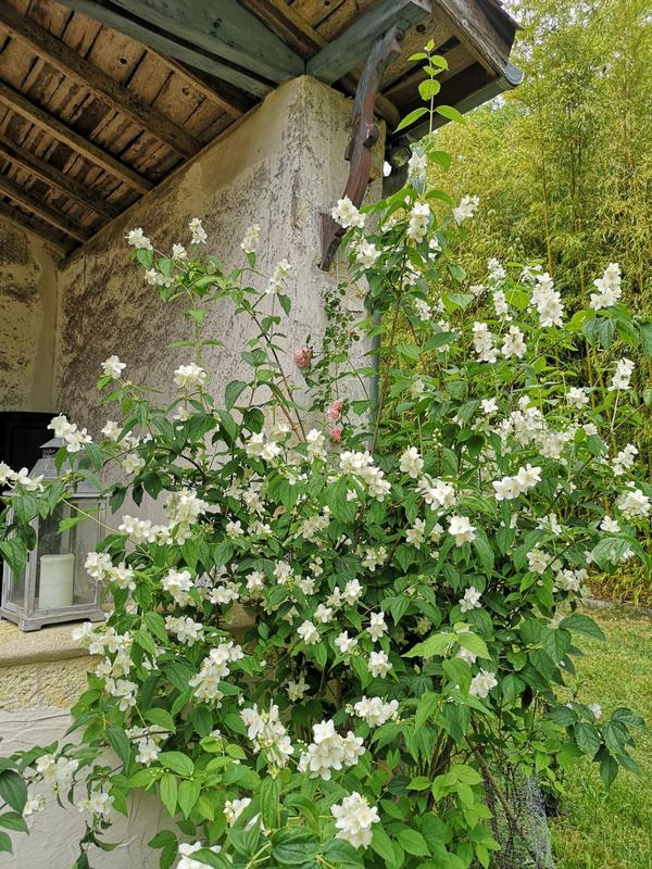 Maison - 260 m² - 8 pièces