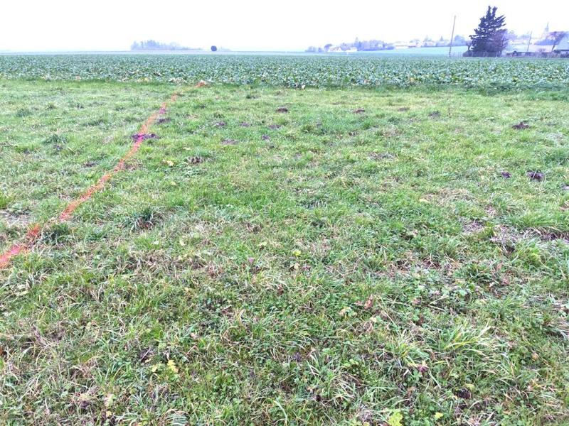 Bureau - 307 m² - 1 pièce