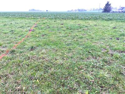 Bureau - 307 m² - 1 pièce