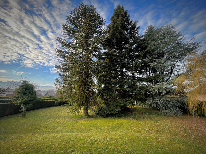 Propriété - 300 m² - 13 pièces