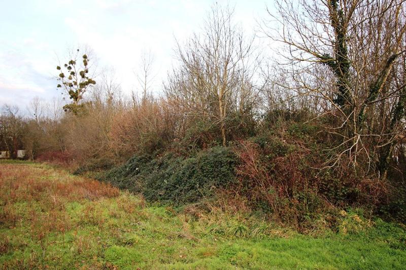 Terrain de loisirs - 4 273 m²