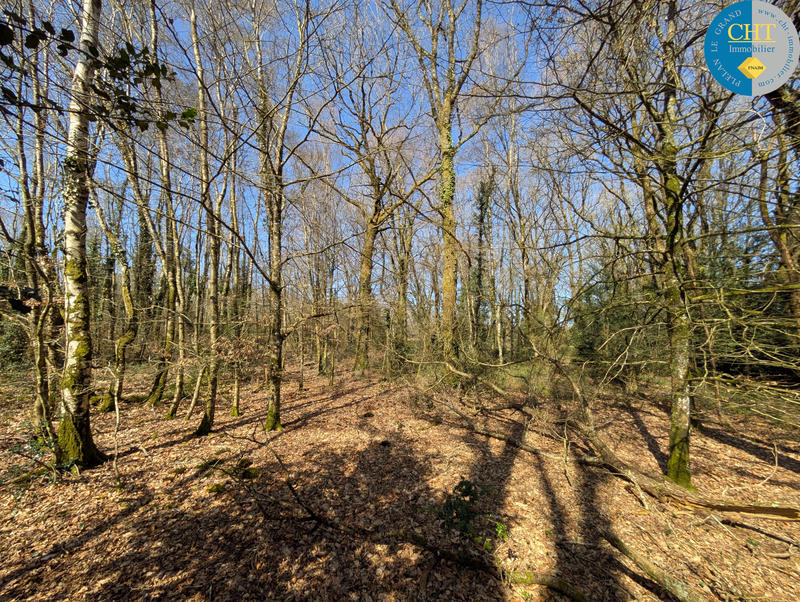 Terrain - 24 900 m²