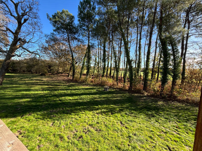 Viager - Maison - 110 m² - 5 pièces