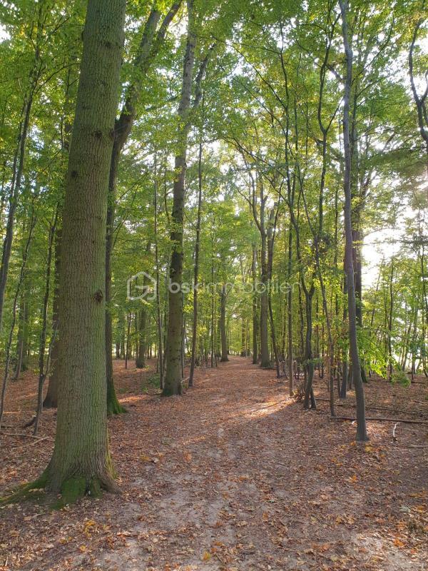 Maison de domaine équestre - 800 m² - 25 pièces