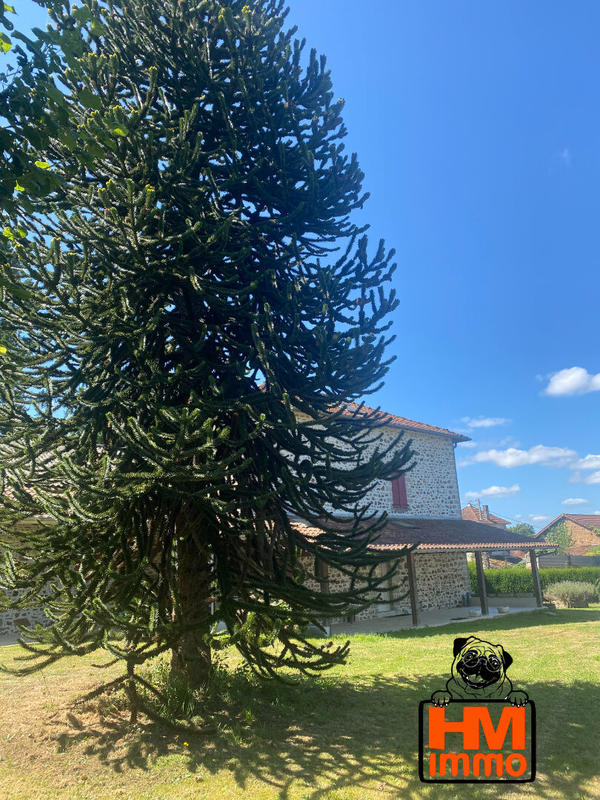 Maison - 175 m² - 6 pièces