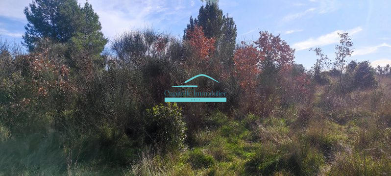 Terrain agricole - 21 172 m²