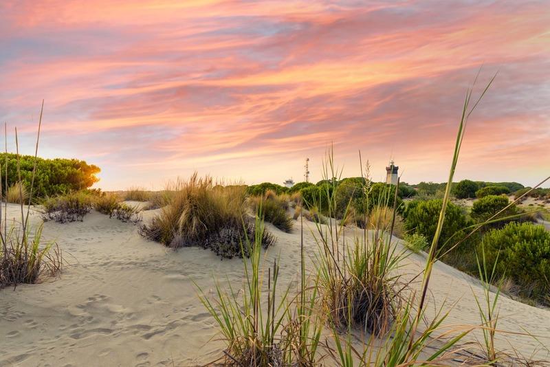 Fonds de commerce - 1 200 m²