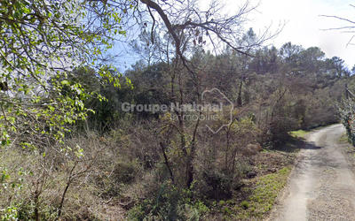 Terrain - 44 173 m²