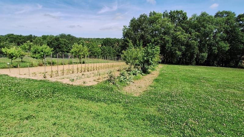 Mas - 207 m² - 6 pièces