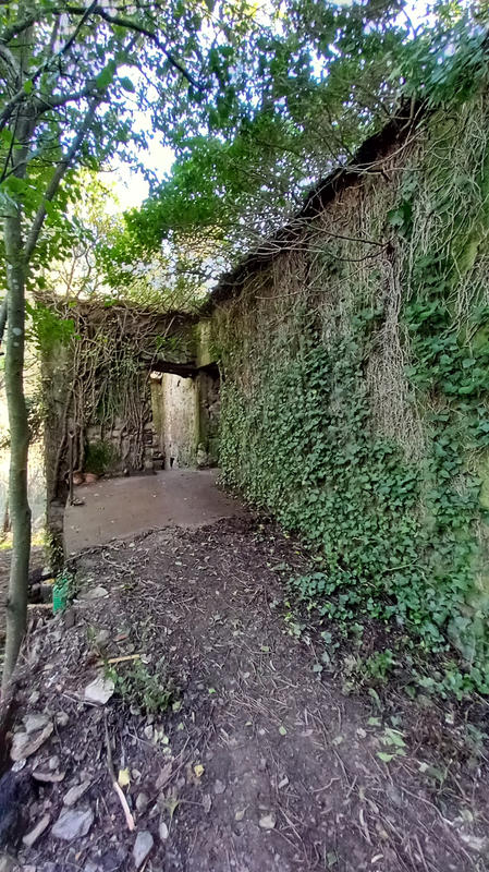 Terrain de loisirs - 31 439 m²