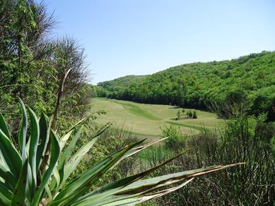 Maison - 422 m² - 12 pièces