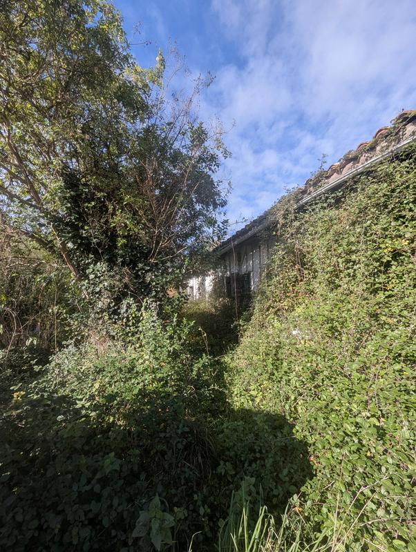 Ferme - 100 m² - 4 pièces