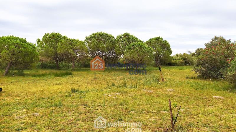 Maison - 320 m² - 10 pièces