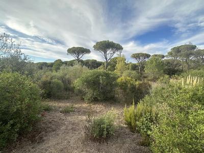 Terrain constructible - 462 m²