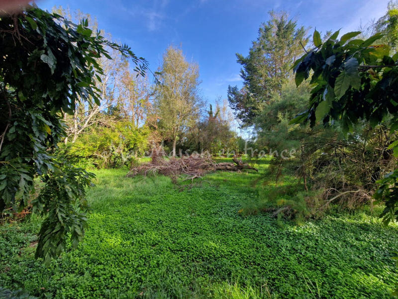 Propriété - 417 m² - 11 pièces