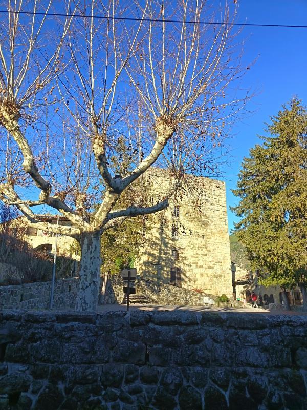 Maison - 55 m² - 1 pièce