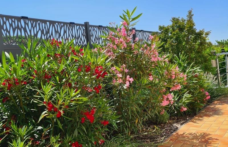 Maison - 200 m² - 8 pièces