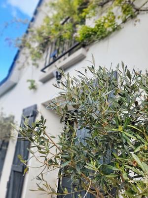 Longère - 175 m² - 7 pièces