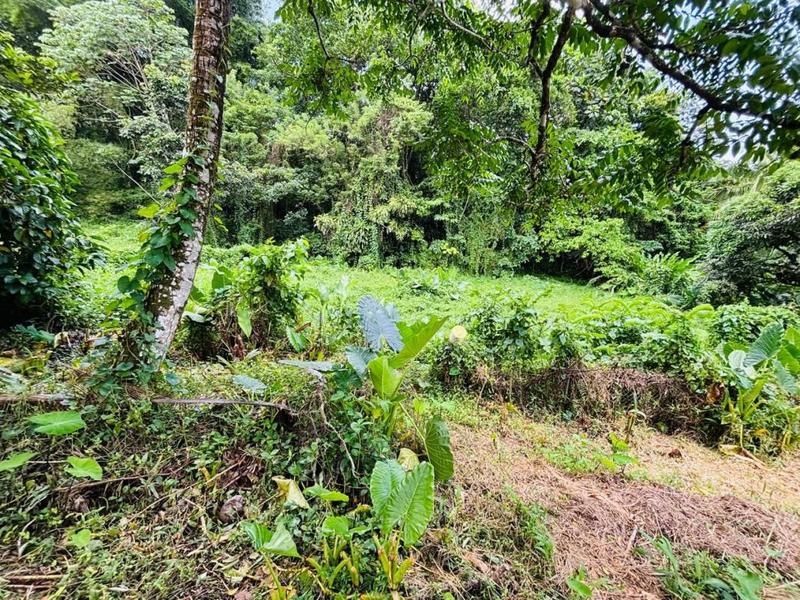 Villa - 124 m² - 4 pièces