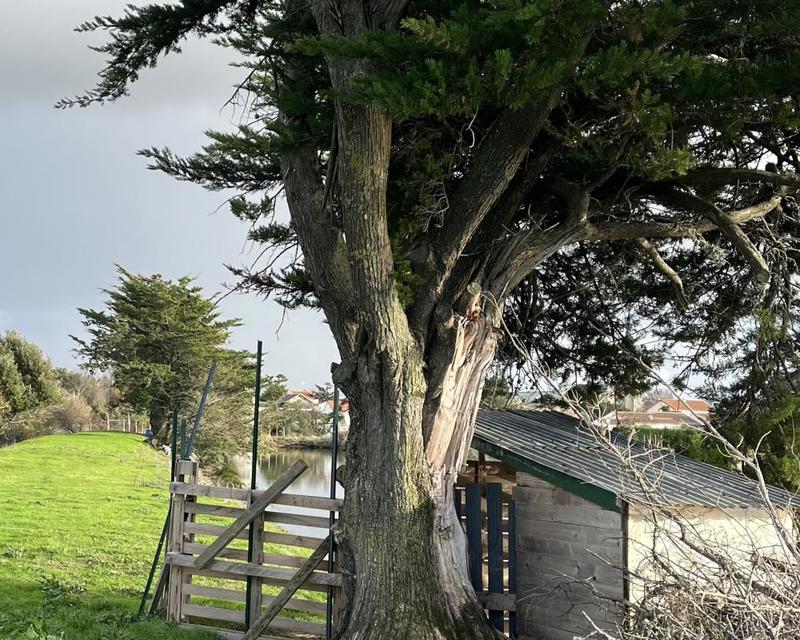 Terrain - 11 140 m²