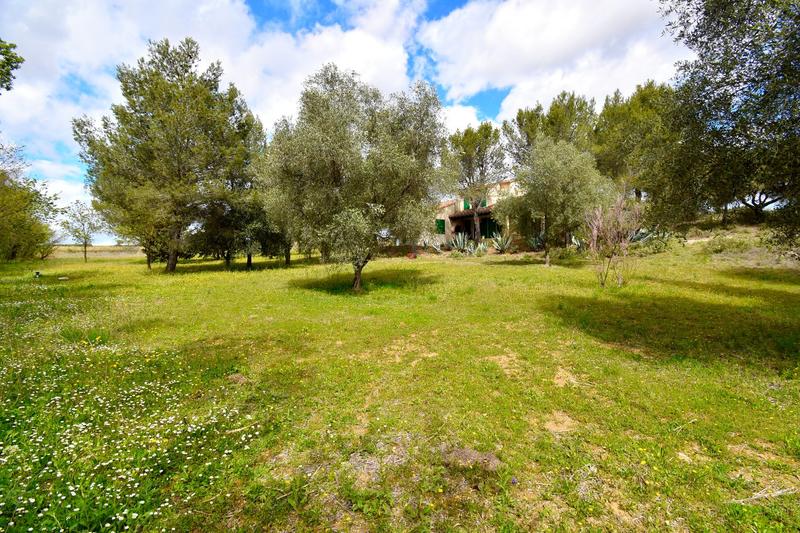 Maison - 186 m² - 11 pièces