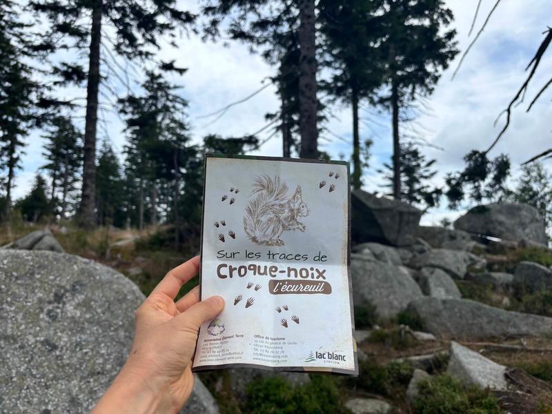 Jeu de piste - Sur les traces de Croque-Noix