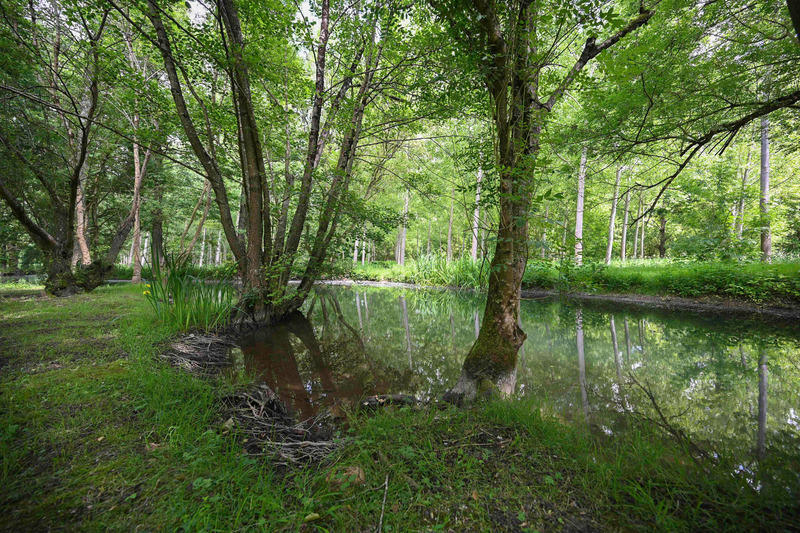 Maison en pierre - 185 m² - 6 pièces