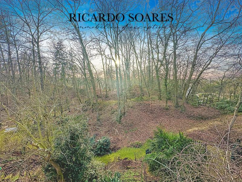 Villa - 306 m² - 10 pièces