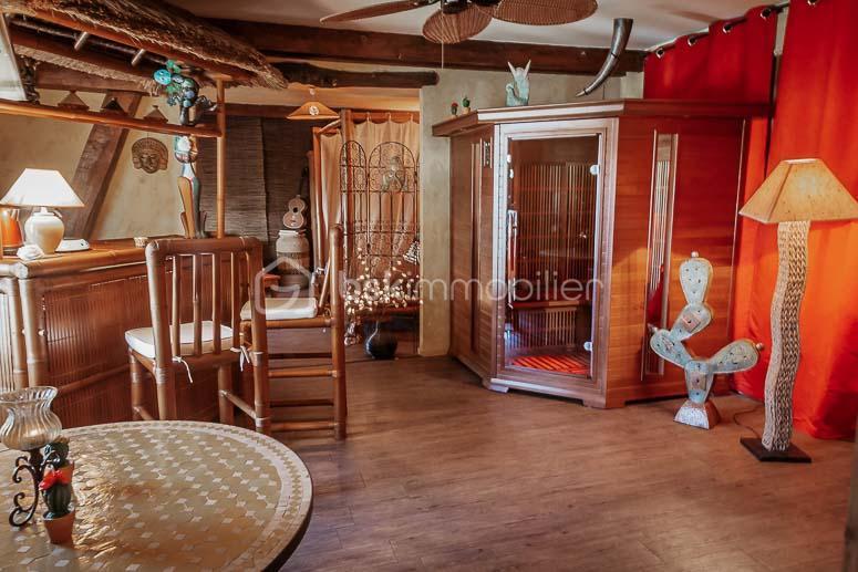 Maison en pierre - 529 m² - 9 pièces