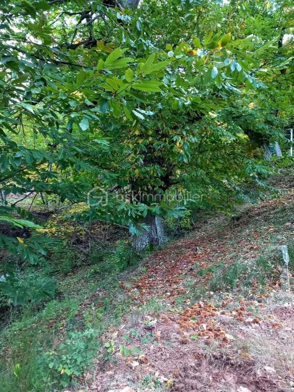 Ferme - 171 m² - 6 pièces