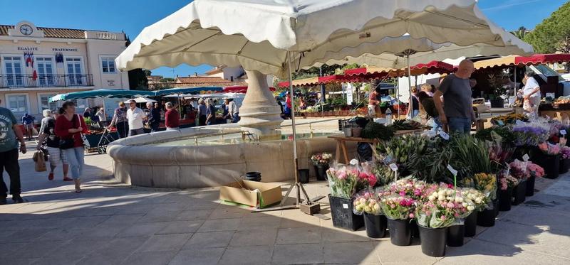 Fonds de commerce - Local commercial - 80 m²