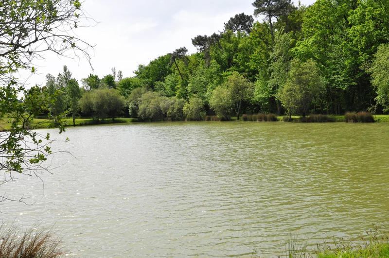 Maison - 218 m² - 8 pièces