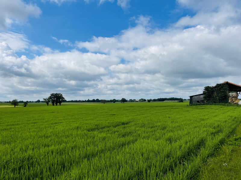 Maison - 220 m² - 5 pièces