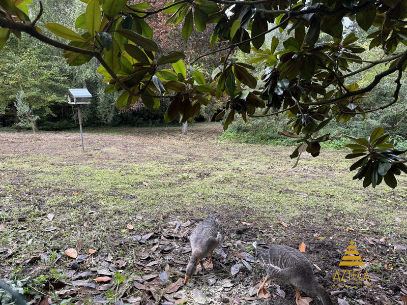 Maison - 321 m² - 7 pièces