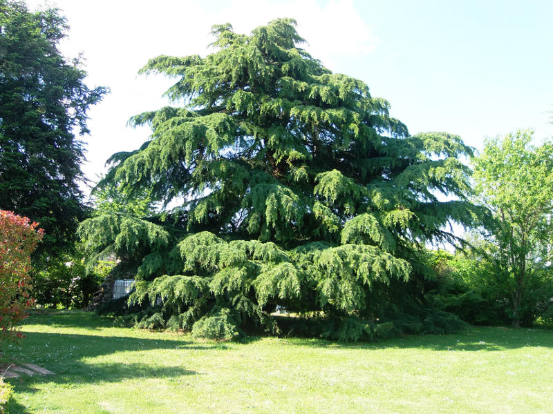 Maison - 214 m² - 8 pièces