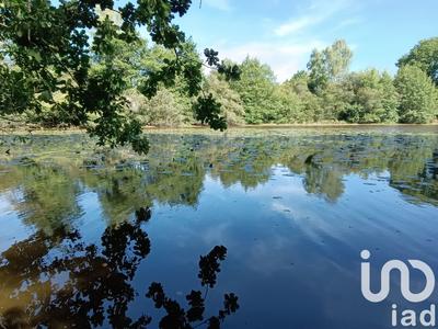 Terrain - 37 398 m²